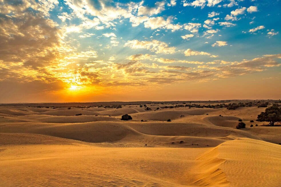 India Thar Desert